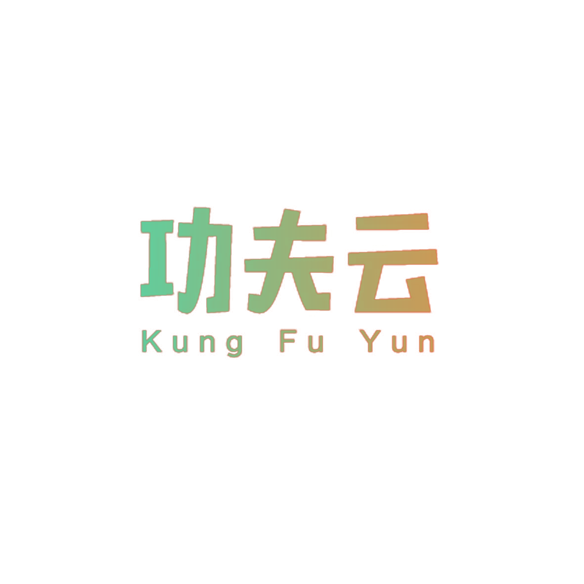功夫云  KUNG FU YUN