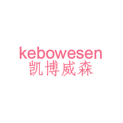 凯博威森 KEBOWESEN
