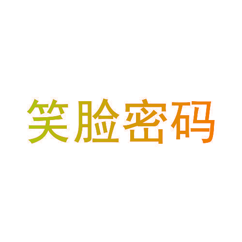 笑脸密码