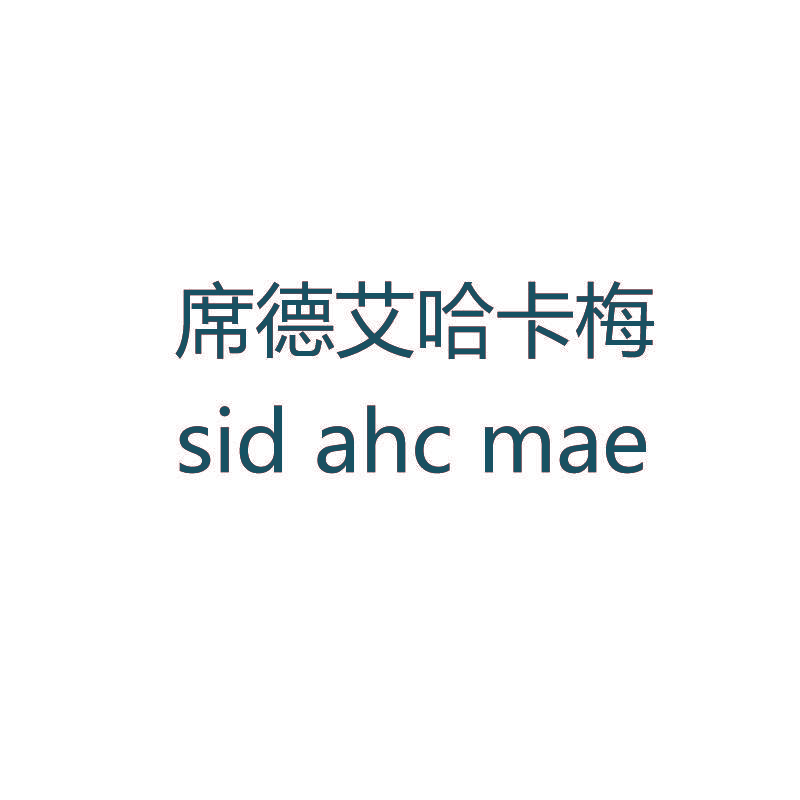 席德艾哈卡梅 SID AHC MAE