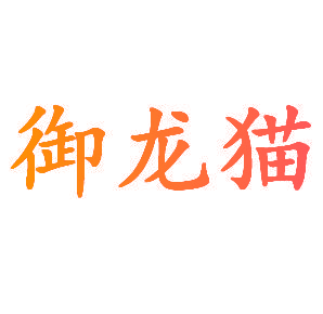 御龙猫