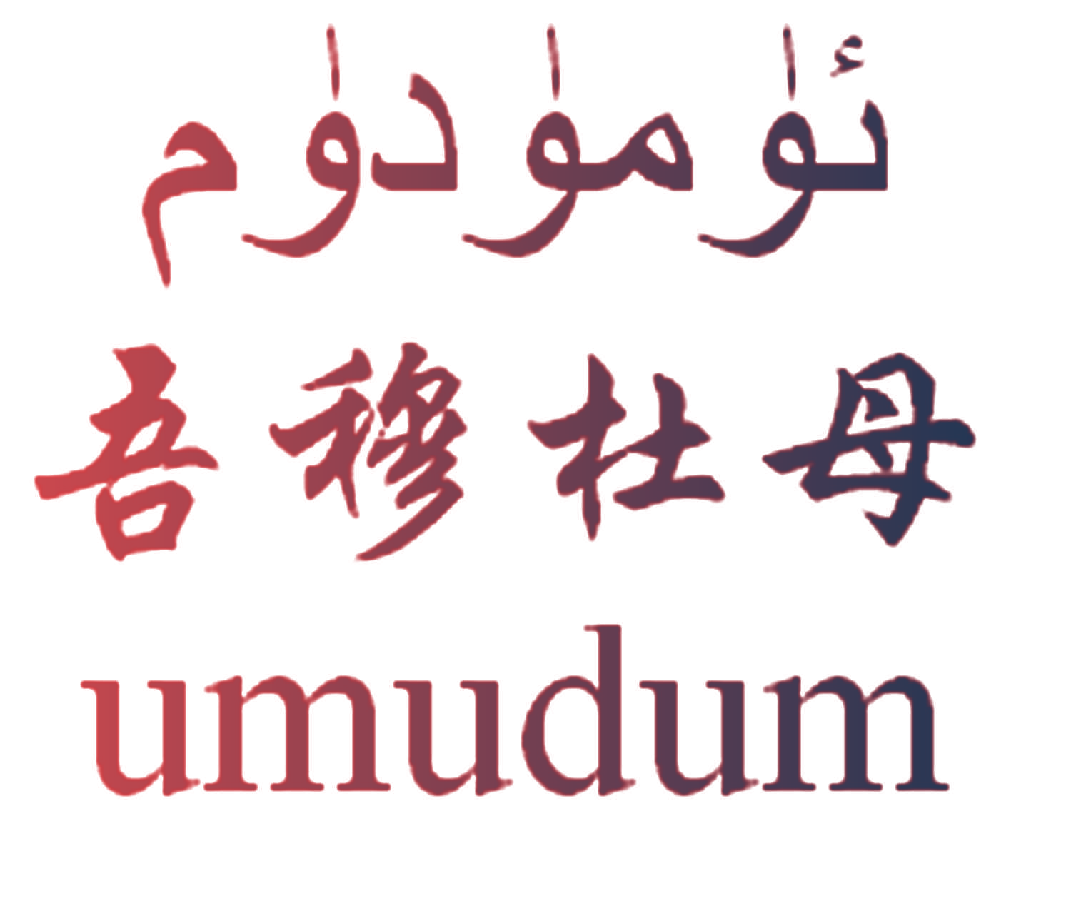 吾穆杜丹  UMUDUM