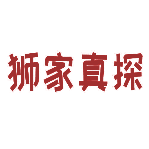 狮家真探