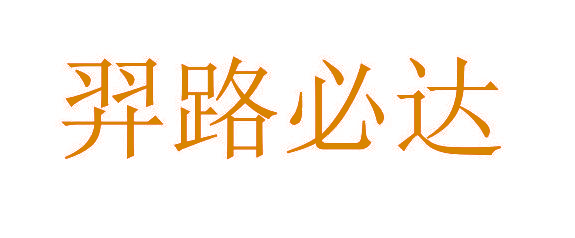羿路必达