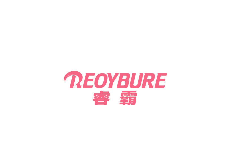 睿霸 REOYBURE