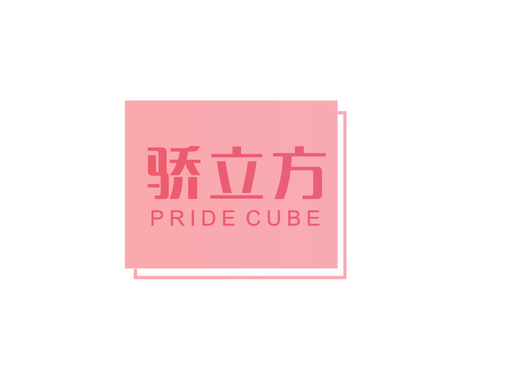 骄立方 PRIDE CUBE