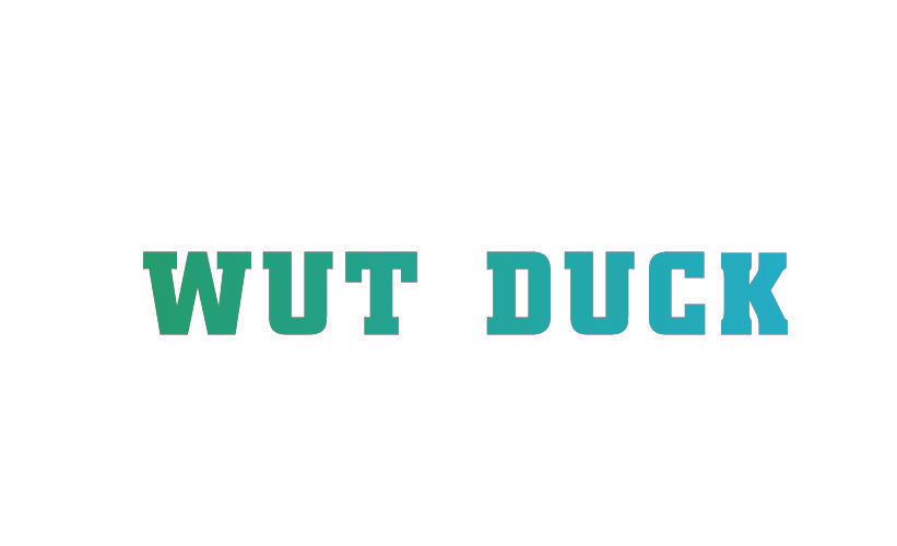 WUT DUCK