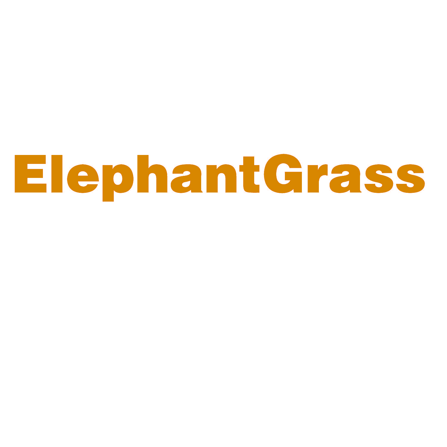 ELEPHANTGRASS