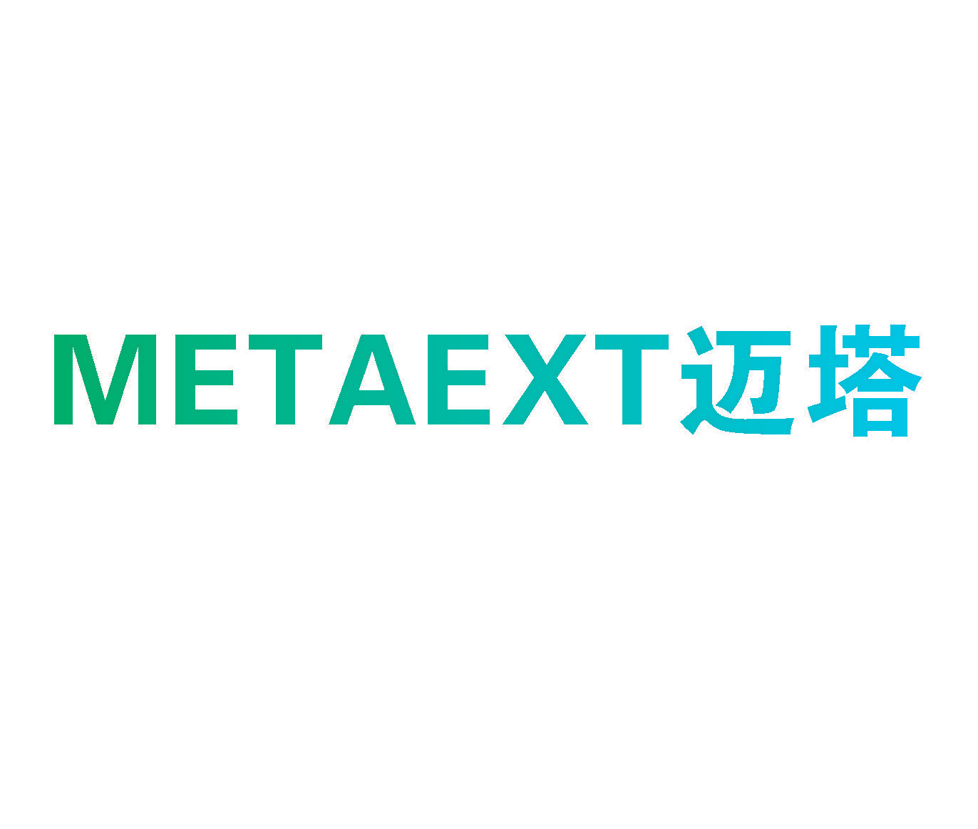 迈塔 METAEXT