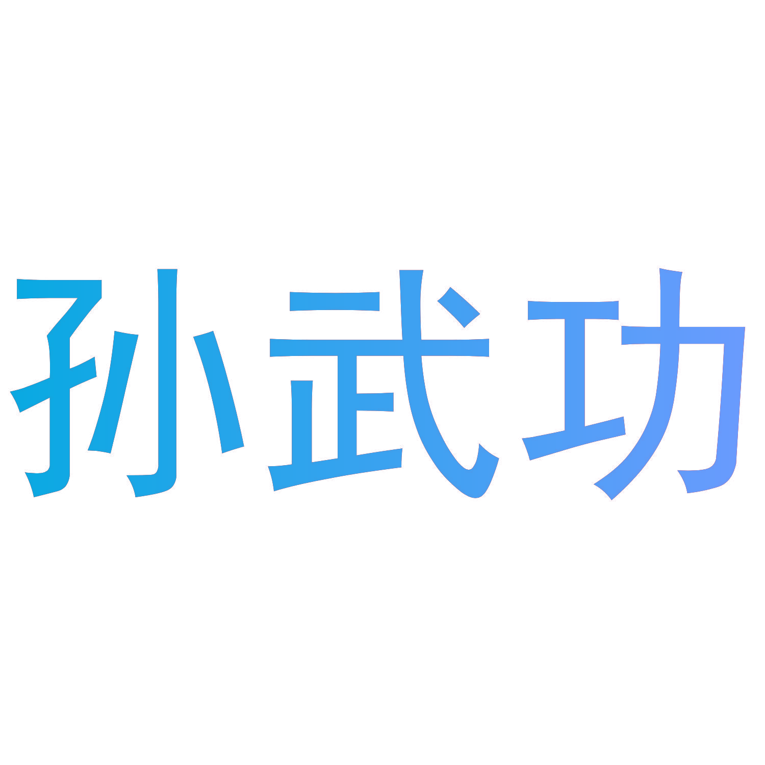 孙武功