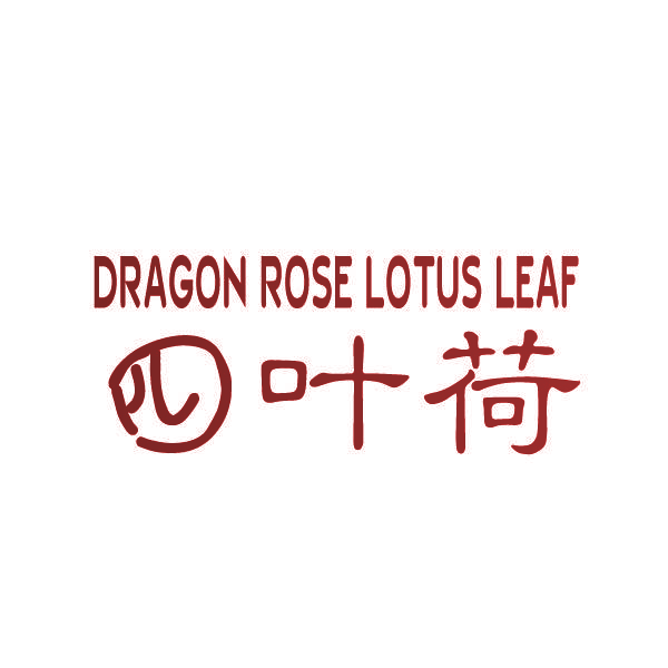 四叶荷 DRAGON ROSE LOTUS LEAF