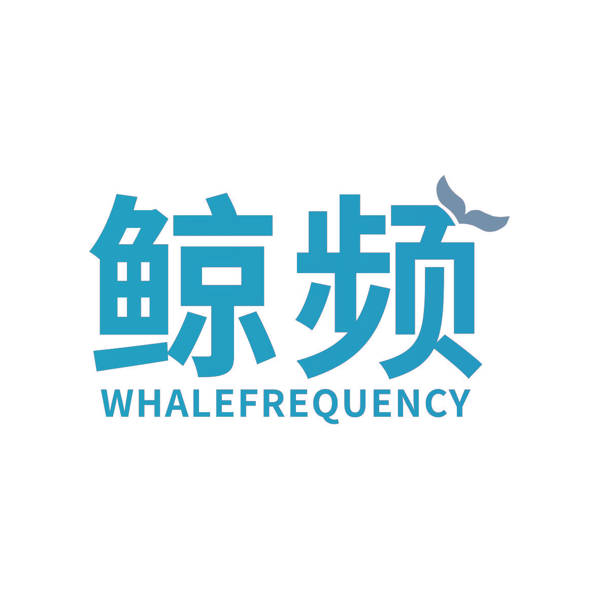 鲸频 WHALE FREQUENCY