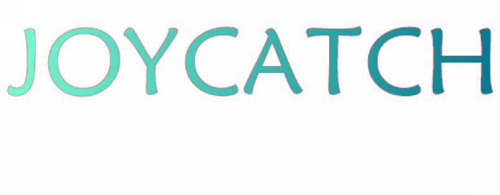 JOYCATCH