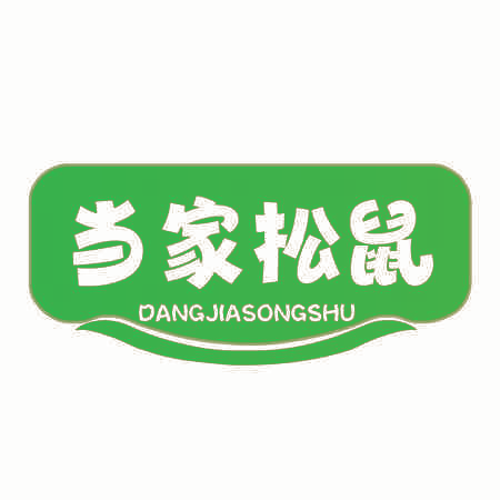 当家松鼠