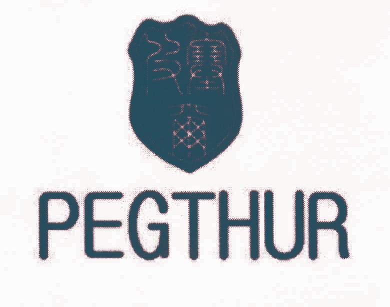 皮塞尔 PEGTHUR