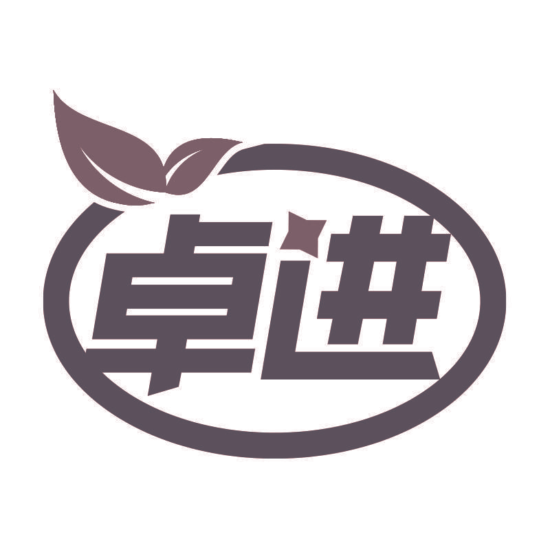 卓进