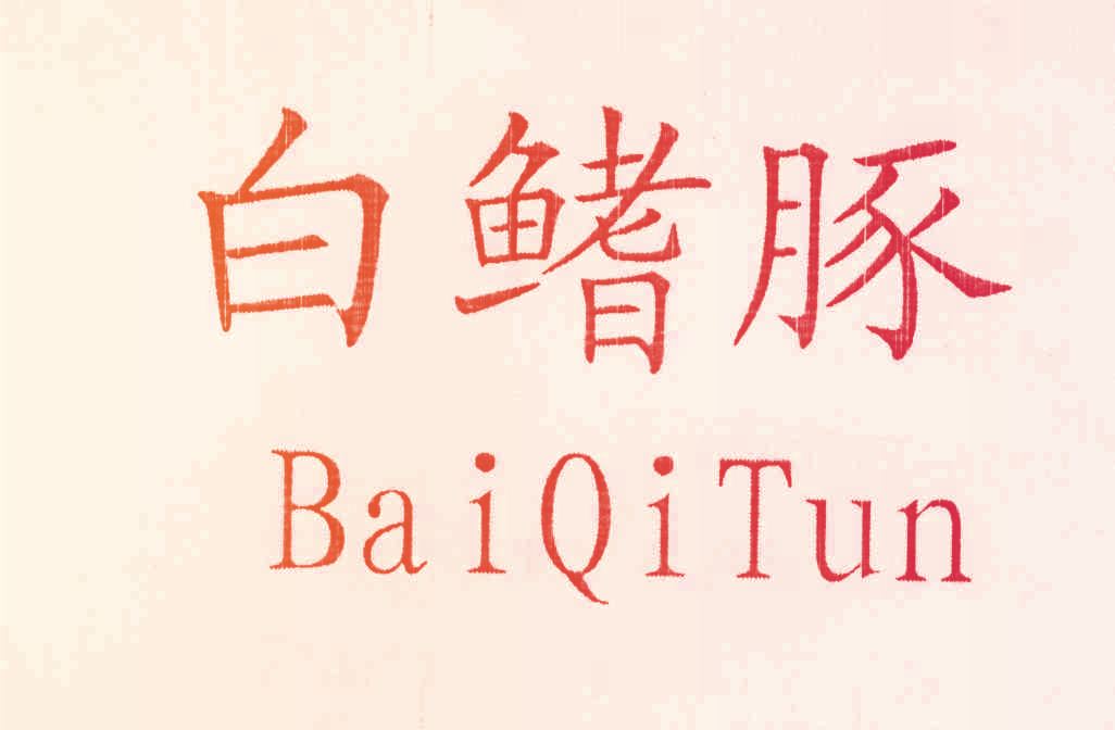 白鳍豚