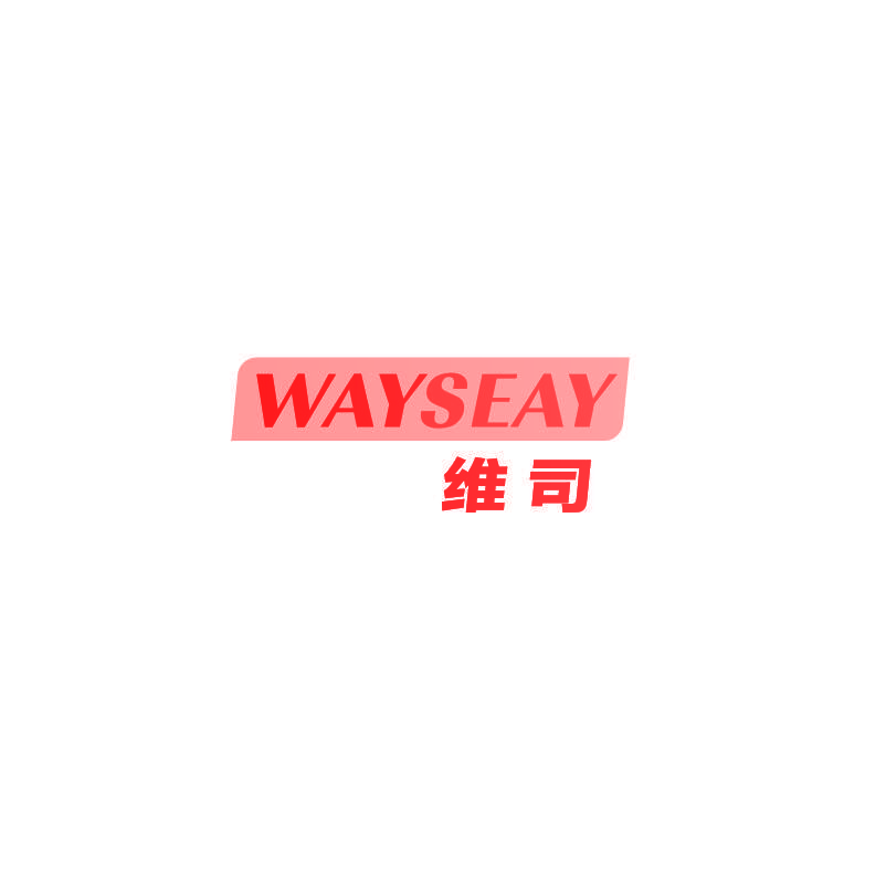 WAYSEAY 维司