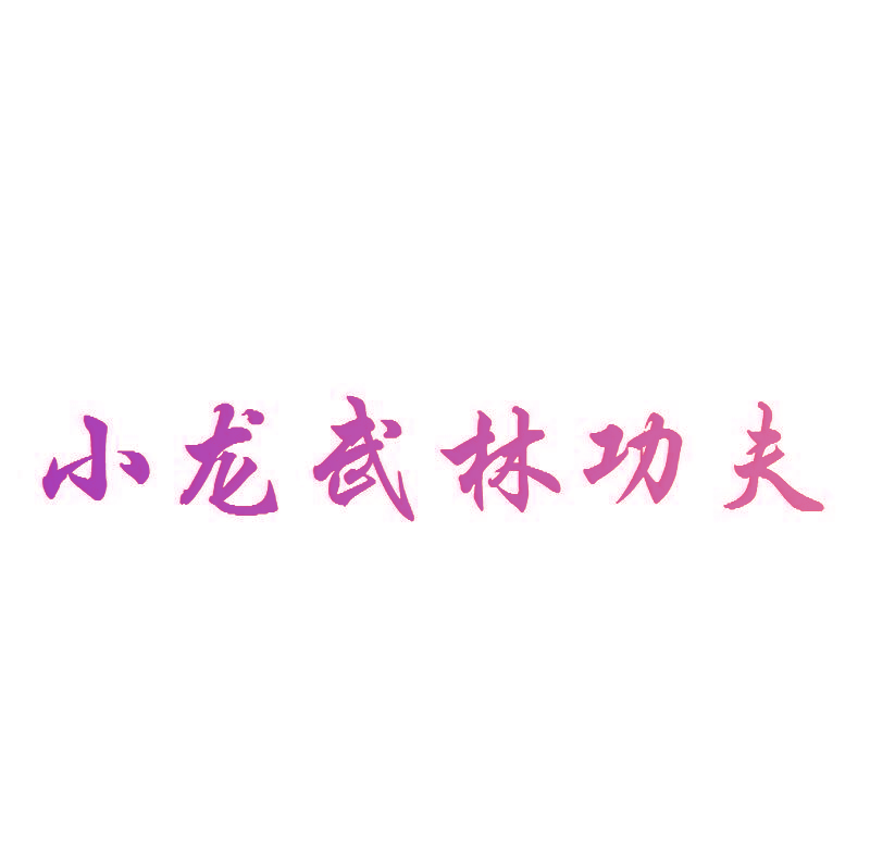 小龙武林功夫