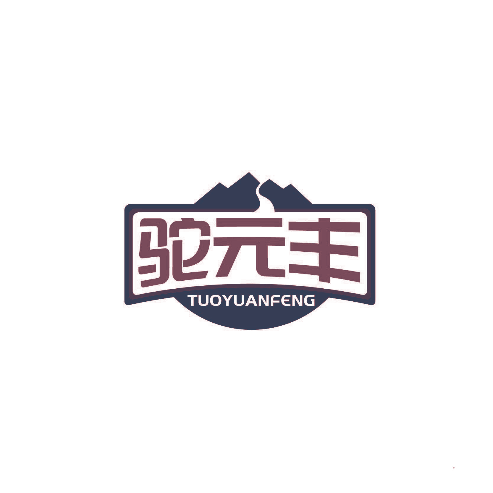 驼元丰
