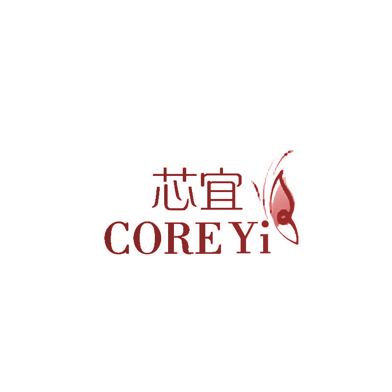 芯宜 CORE YI