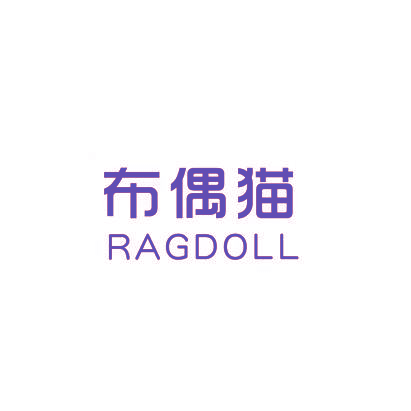 布偶猫 RAGDOLL