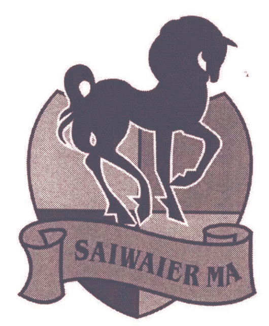 SAIWAIER MA