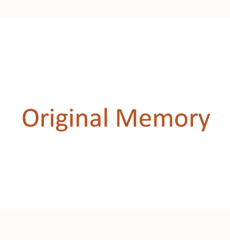 ORIGINAL MEMORY