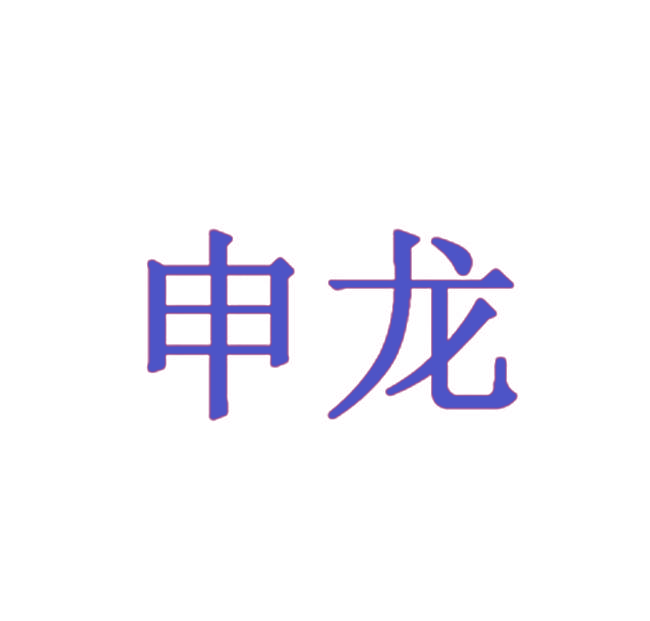 申龙