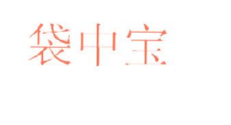 袋中宝
