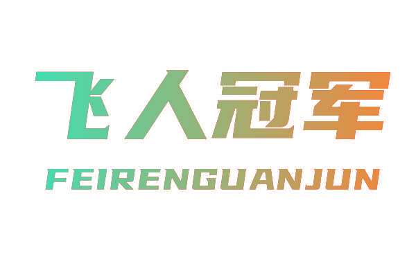 飞人冠军