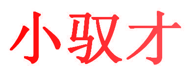 小驭才