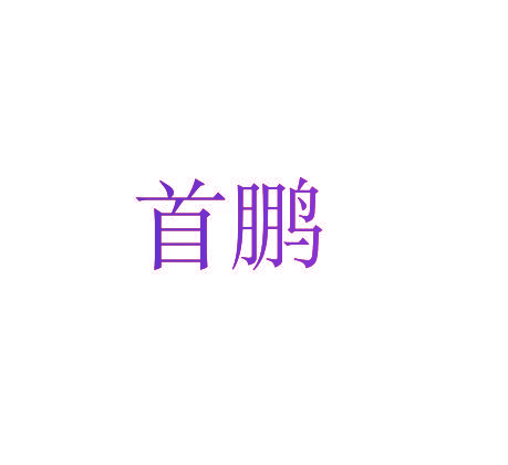 首鹏