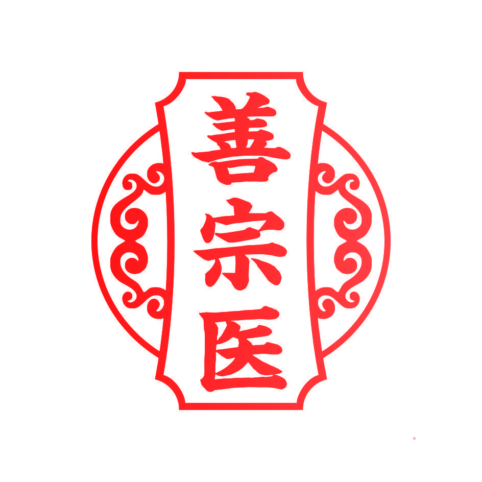 善宗医