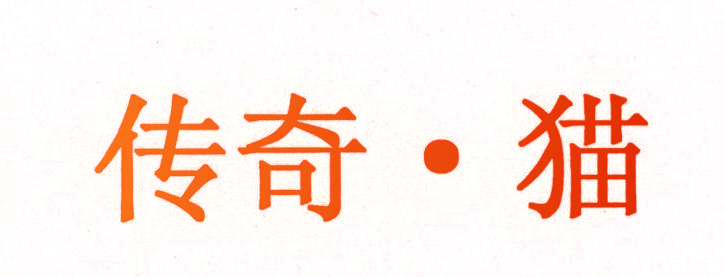 传奇•猫