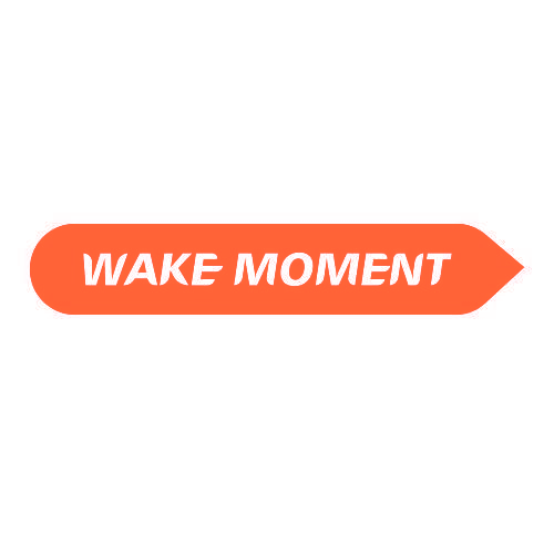 WAKE MOMENT