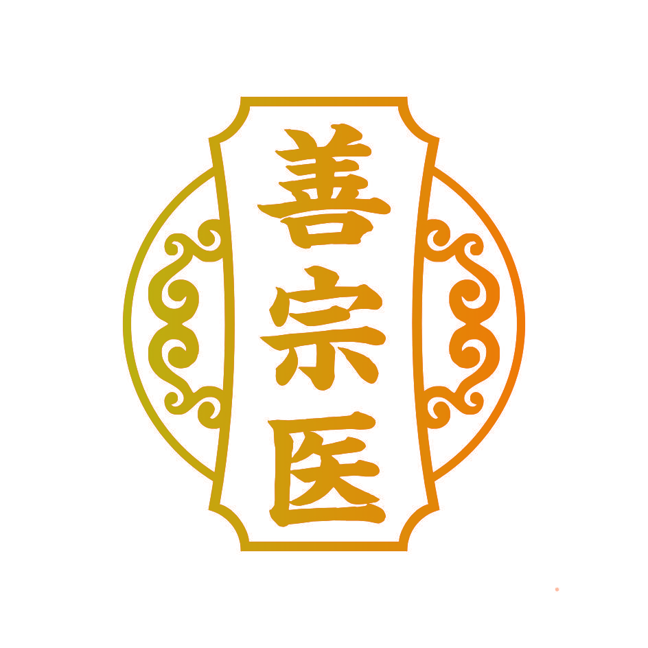 善宗医