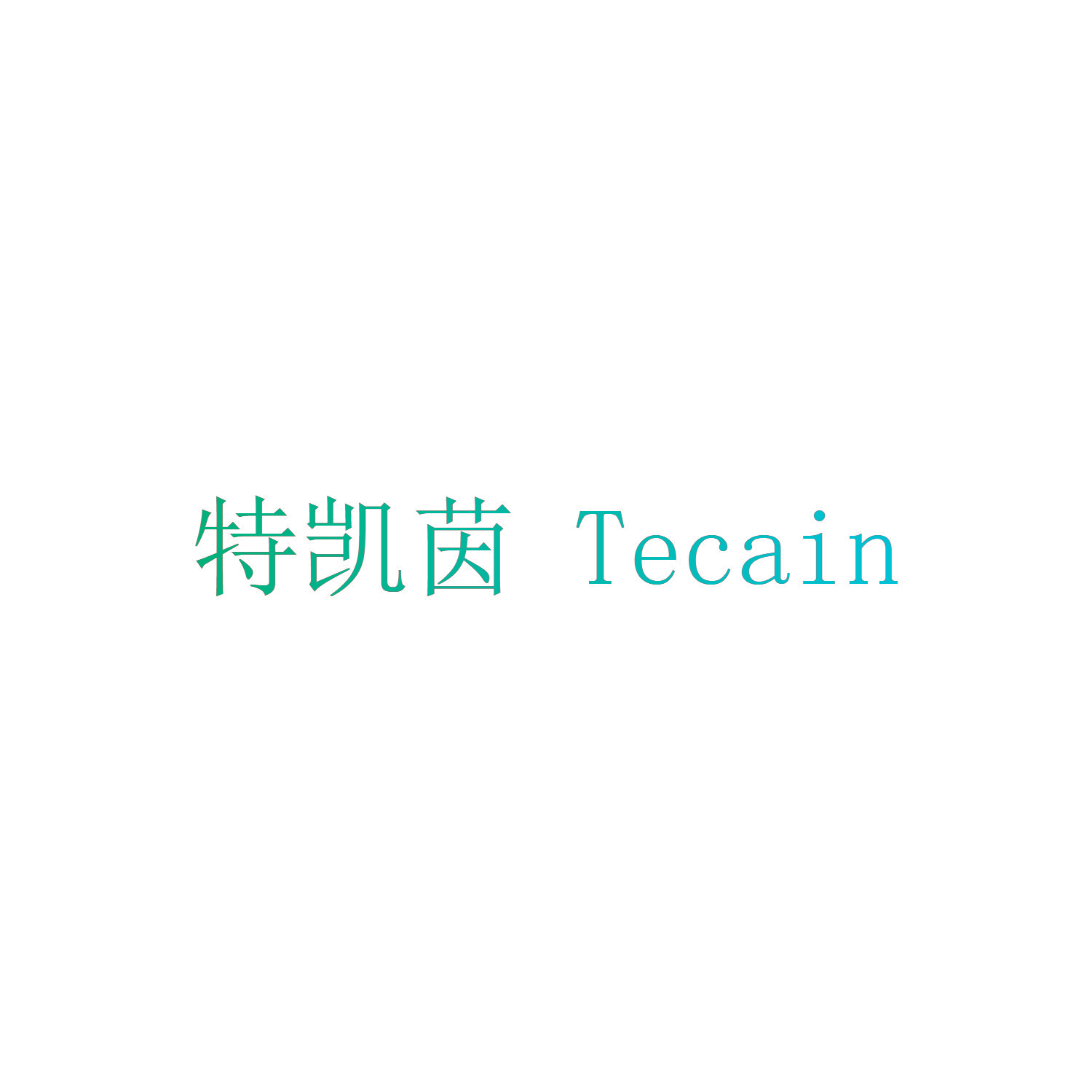 特凯茵 TECAIN
