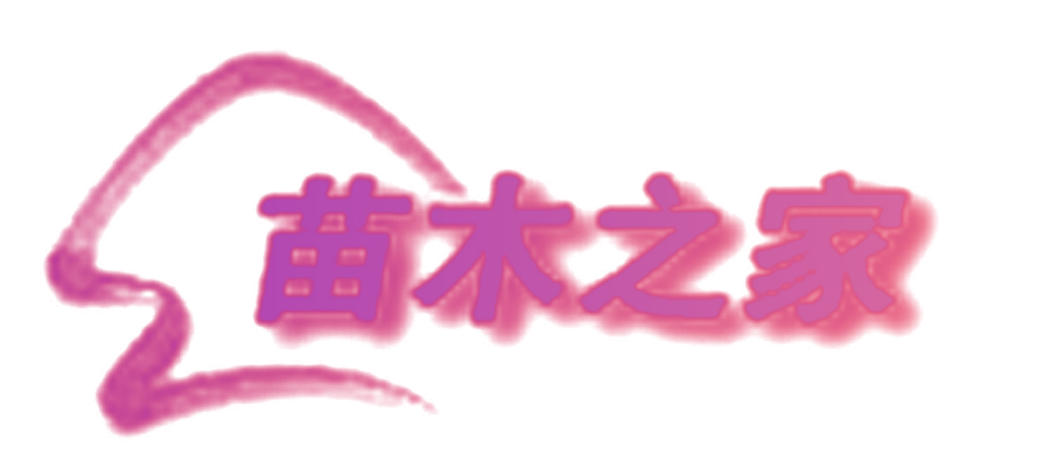 苗木之家
