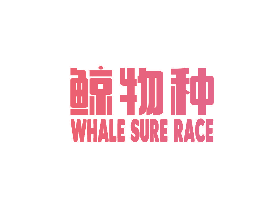 鲸物种 WHALE SURE RACE