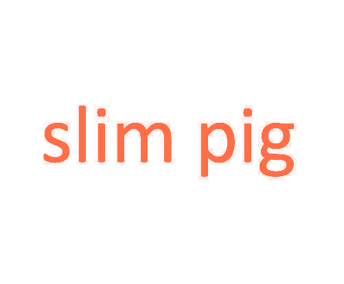 SLIM PIG