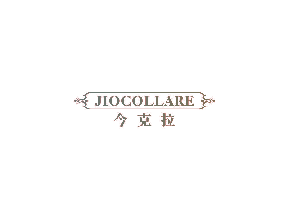 今克拉 JIOCOLLARE