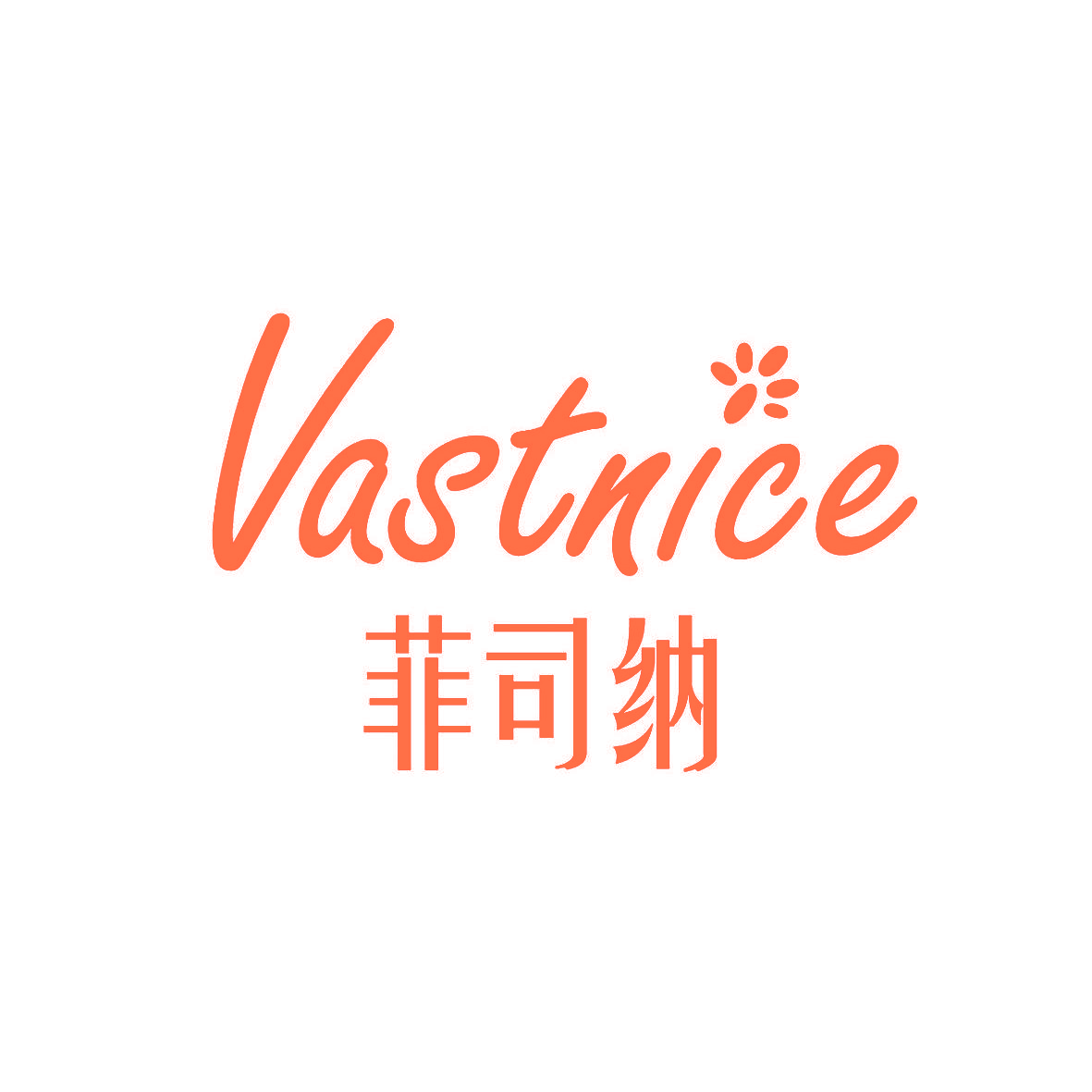 菲司纳 VASTNICE