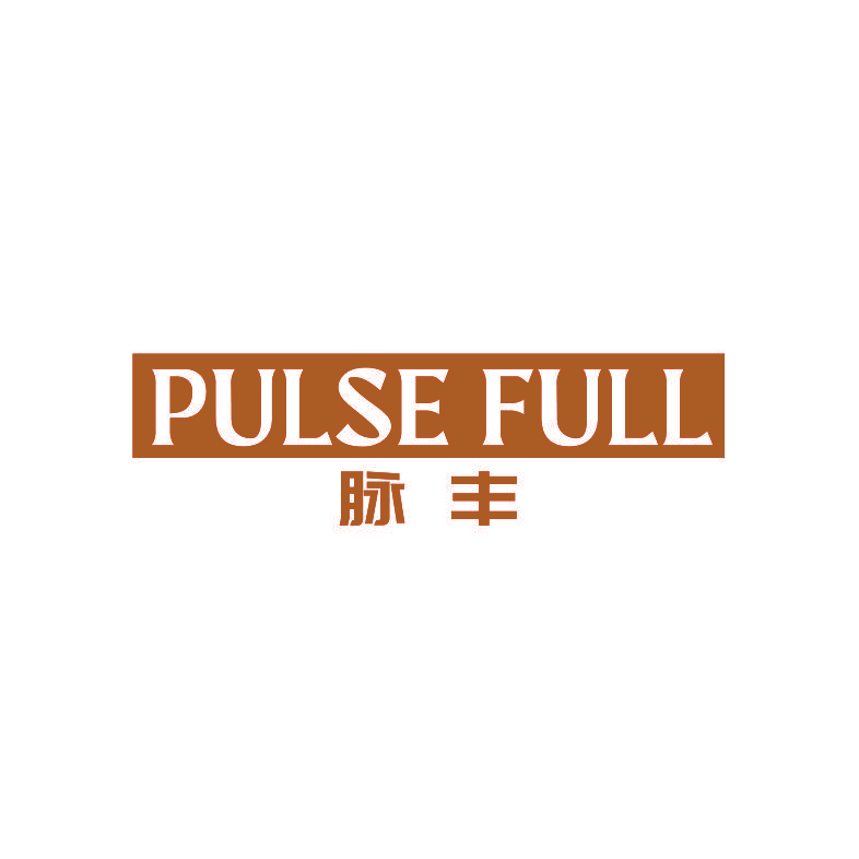 PULSE FULL 脉丰