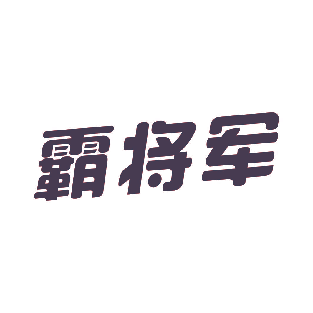 霸将军