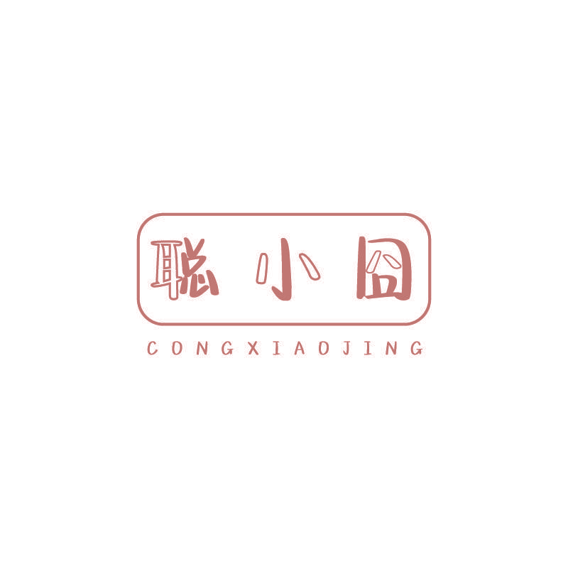 聪小囧 CONGXIAOJING