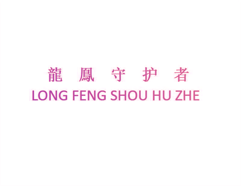 龙凤守护者 LONG FENG SHOU HU ZHE