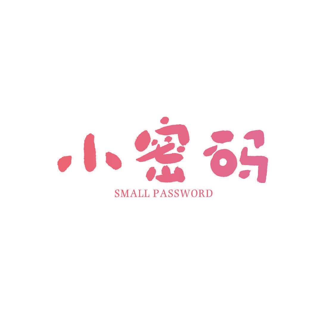 小密码 SMALL PASSWORD