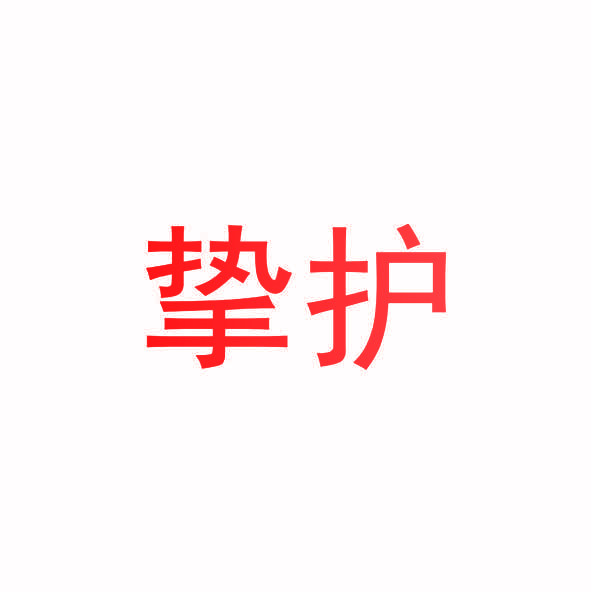 挚护