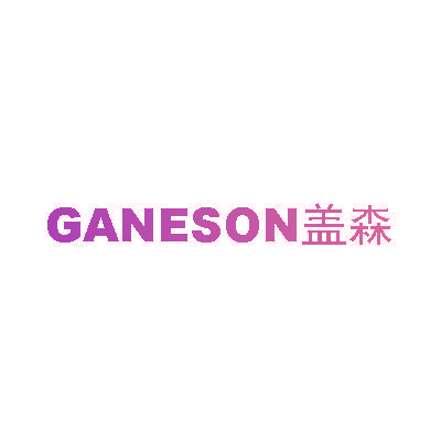 盖森 GANESON